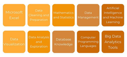 解鎖數據價值 掌握數據處理技術，夯實有效數據分析的基石